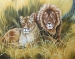 Lions Pride