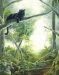 Jungle Cat