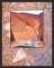 Ayers Rock