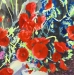 Poppies
