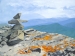Vantage Point