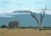 In The Land of the Giants