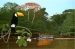 Toucan Tour