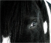 A Kind Eye