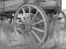 Wagon Wheel